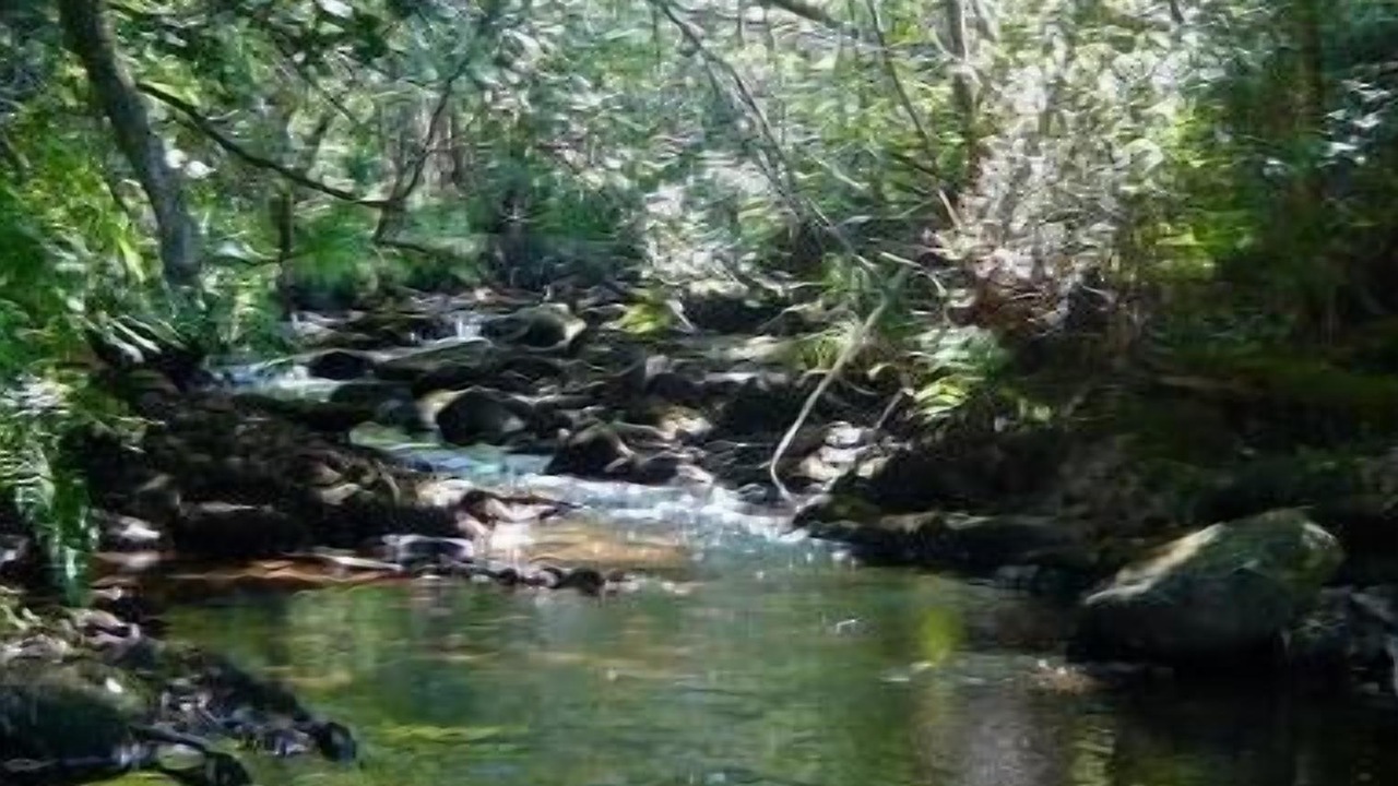 Photo of Others in Malbosc