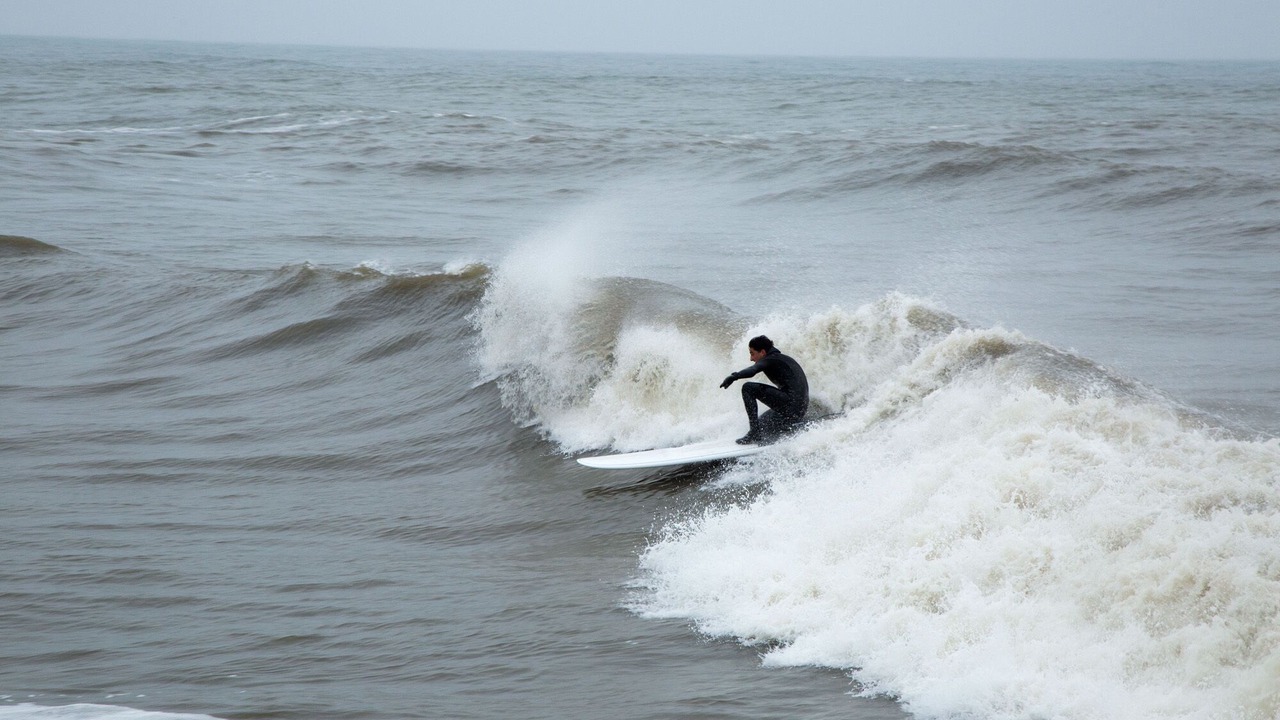 Photo of Others in Harboore