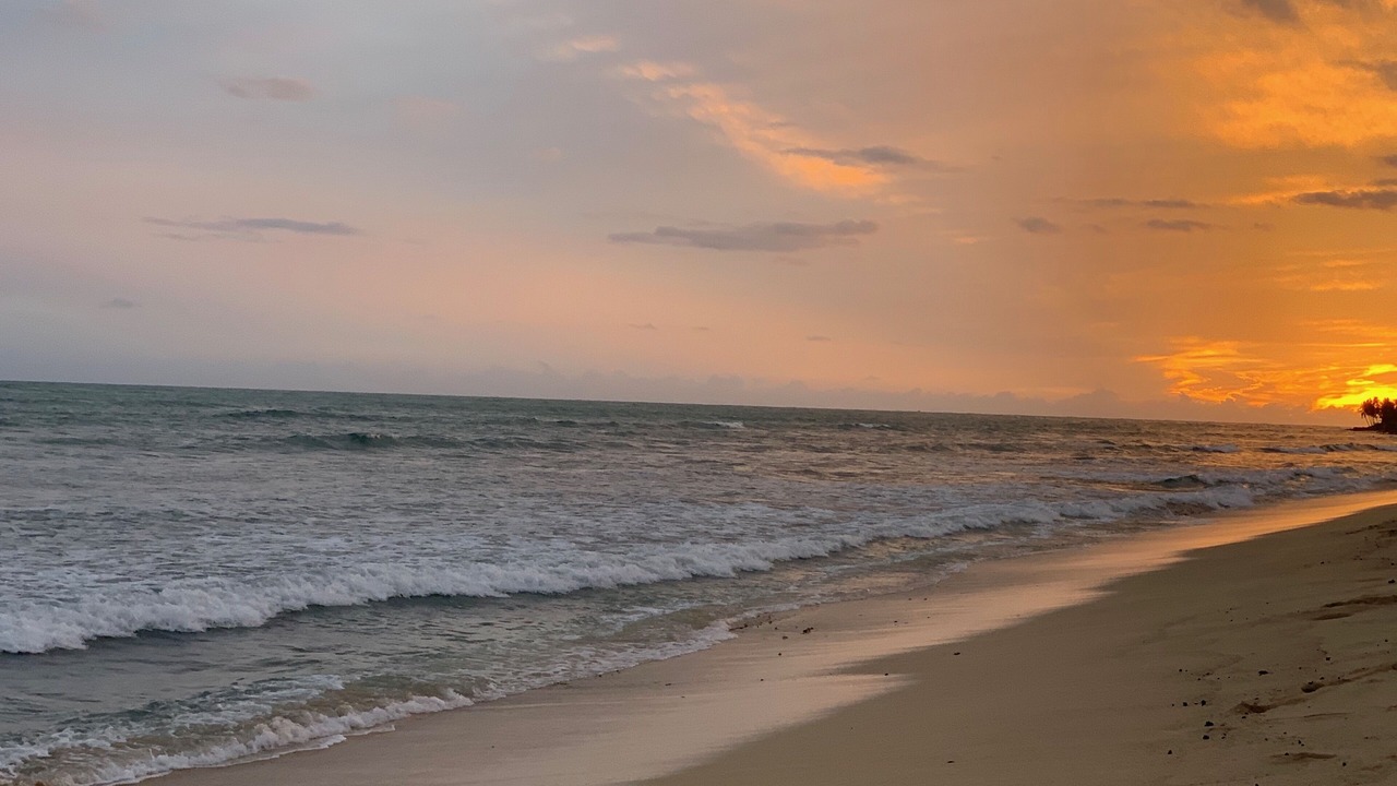 Photo of Others in Ewa Beach