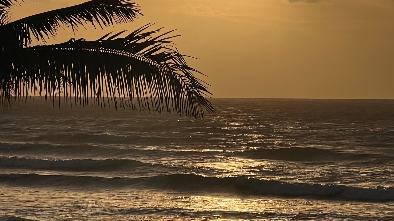 Photo of Others in Ewa Beach