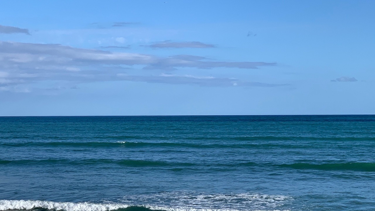Photo of Others in Ewa Beach