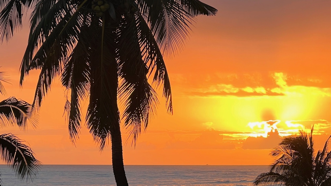 Photo of Others in Ewa Beach