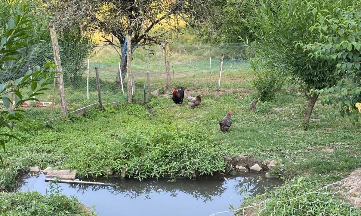 Photo of Outdoor in Montjoie-en-Couserans