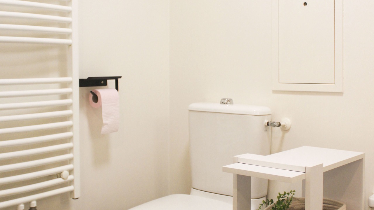 Photo of Bathroom in Bagnolet