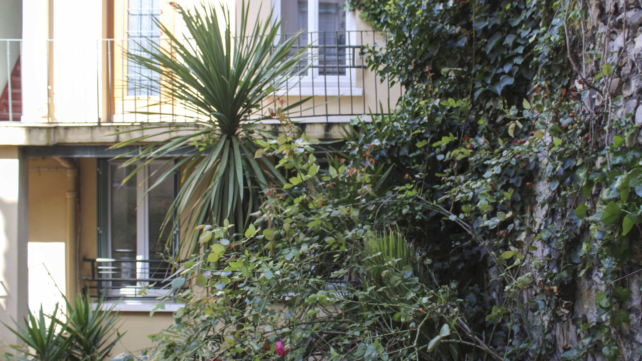 Photo of Outdoor in Saint-Ouen