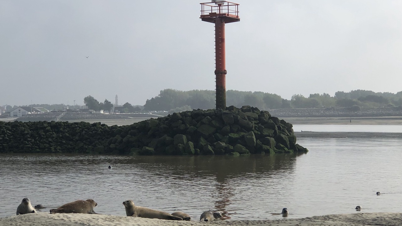 Photo of Outdoor in Hardelot-Plage