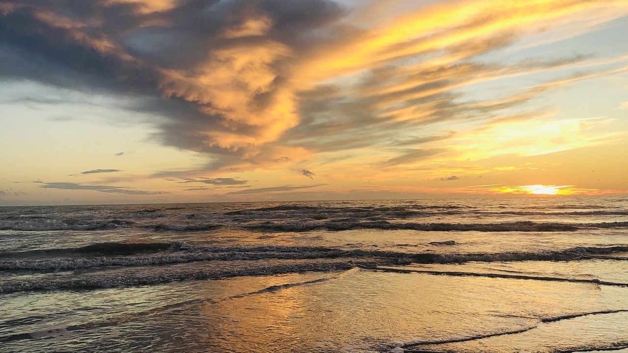 Photo of Others in Hardelot-Plage