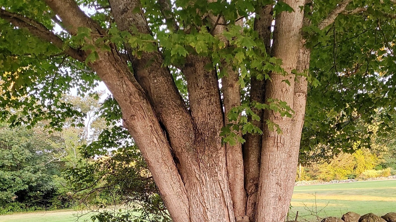 Photo of Outdoor in Little Compton