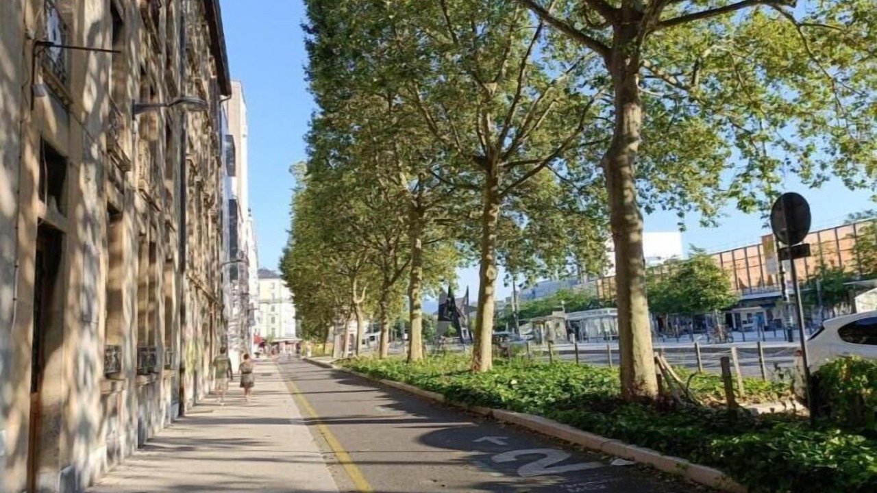 Photo of Others in Secteur 1