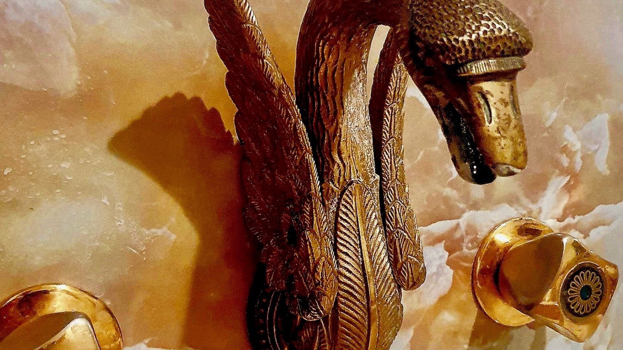 Photo of Others in New Plymouth