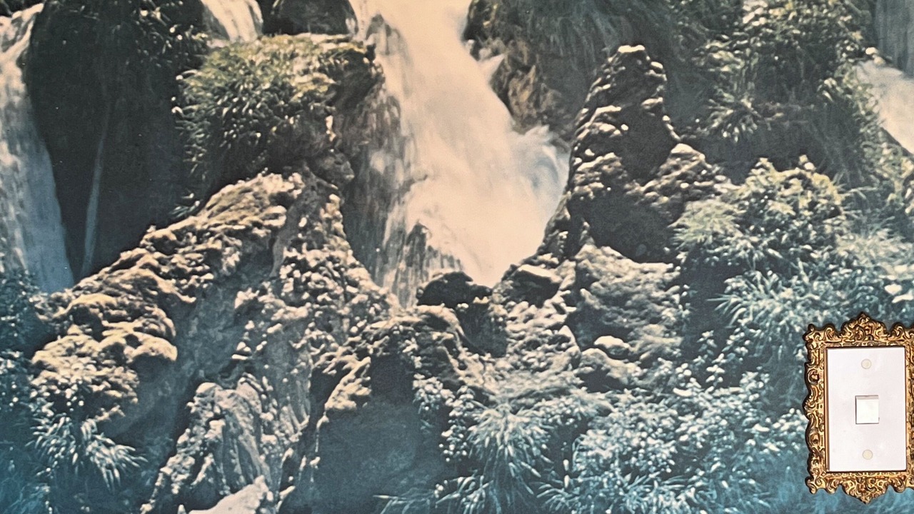 Photo of Others in New Plymouth