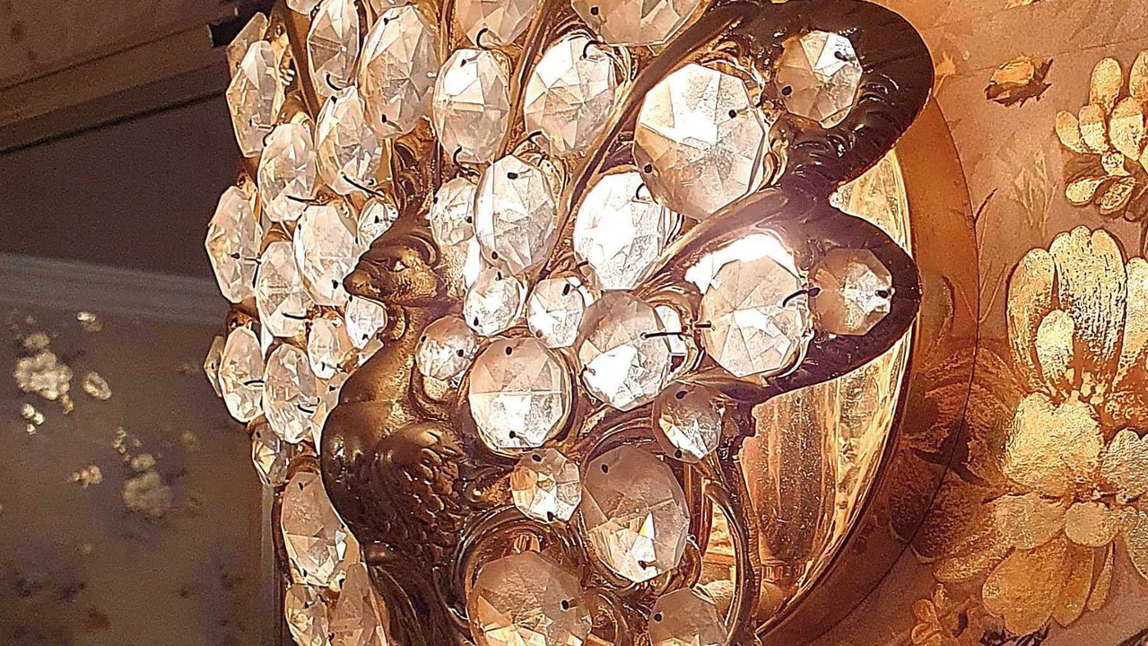 Photo of Others in New Plymouth