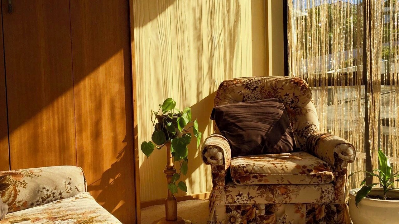 Photo of Others in New Plymouth