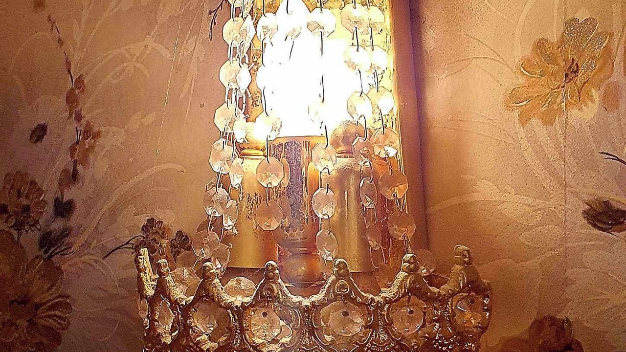 Photo of Others in New Plymouth