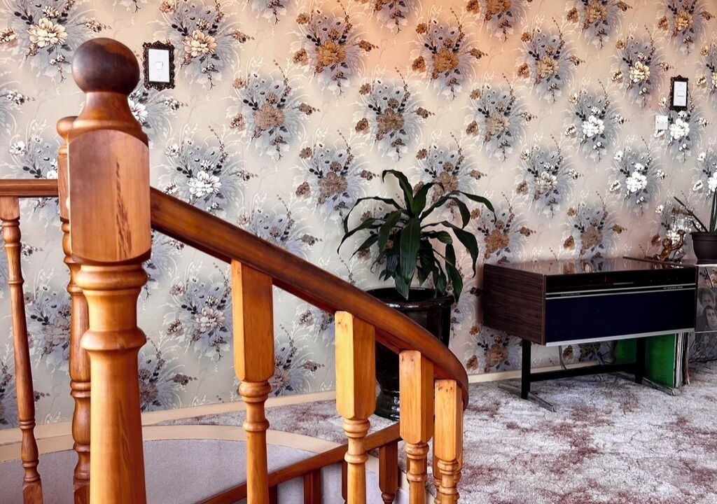 Photo of Others in New Plymouth