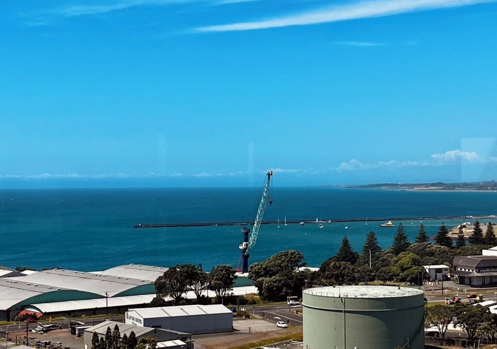 Photo of Others in New Plymouth