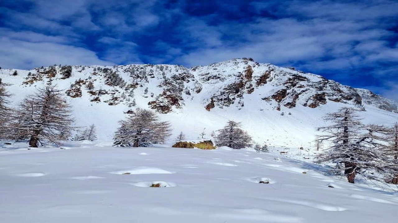 Photo of Others in Isola
