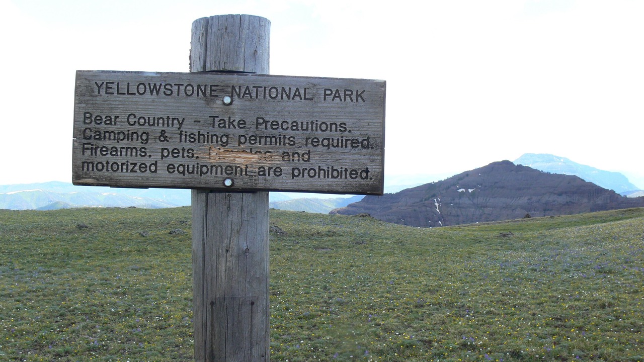 Photo of Others in Cooke City-Silver Gate