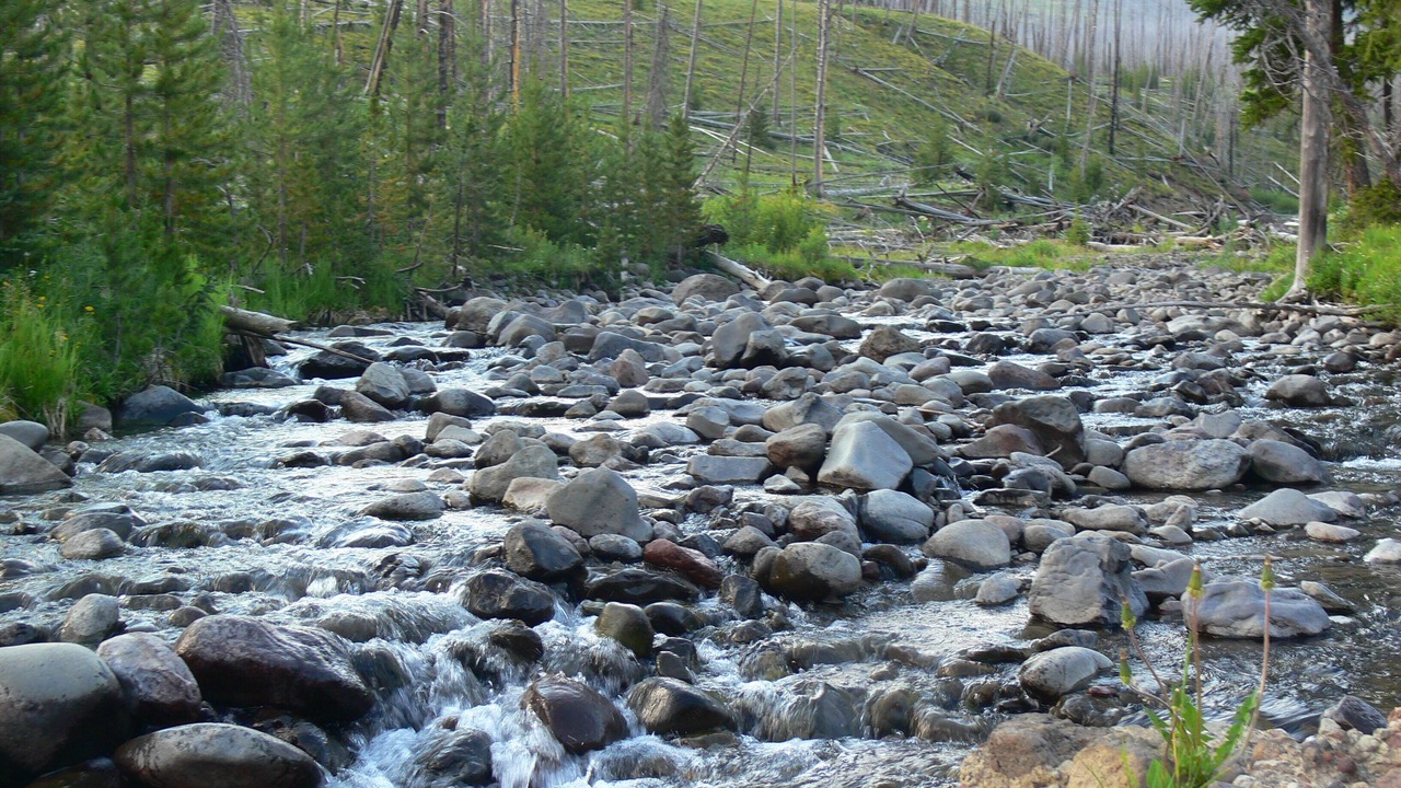 Photo of Outdoor in Cooke City-Silver Gate