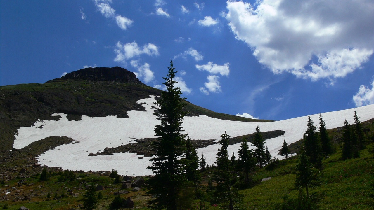 Photo of Others in Cooke City-Silver Gate