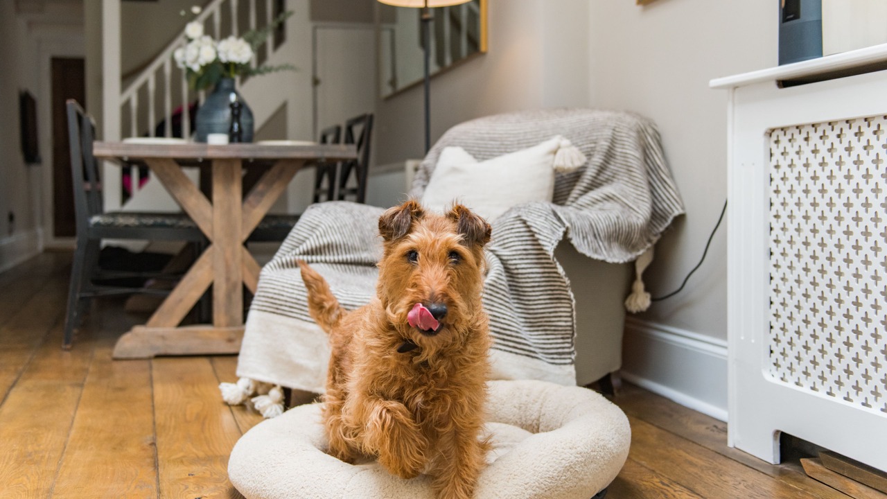 Photo of Others in Deal