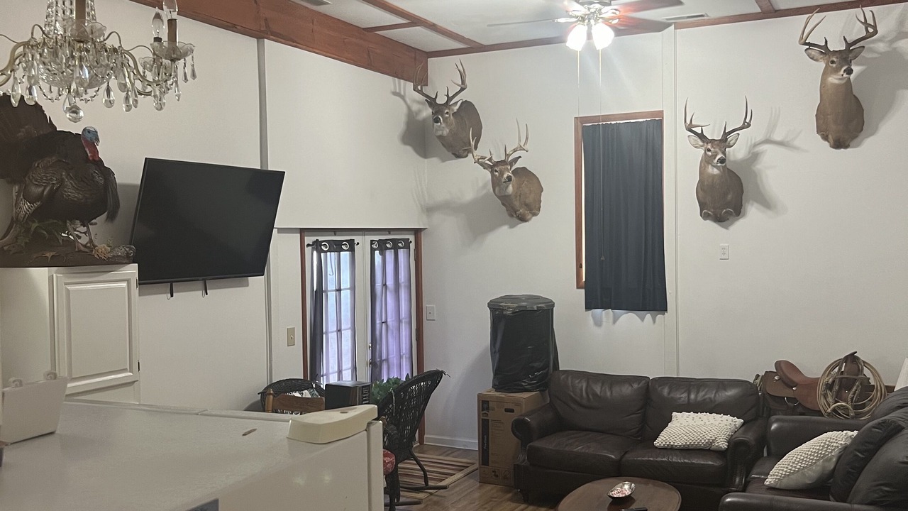 Photo of Livingroom in Kerr