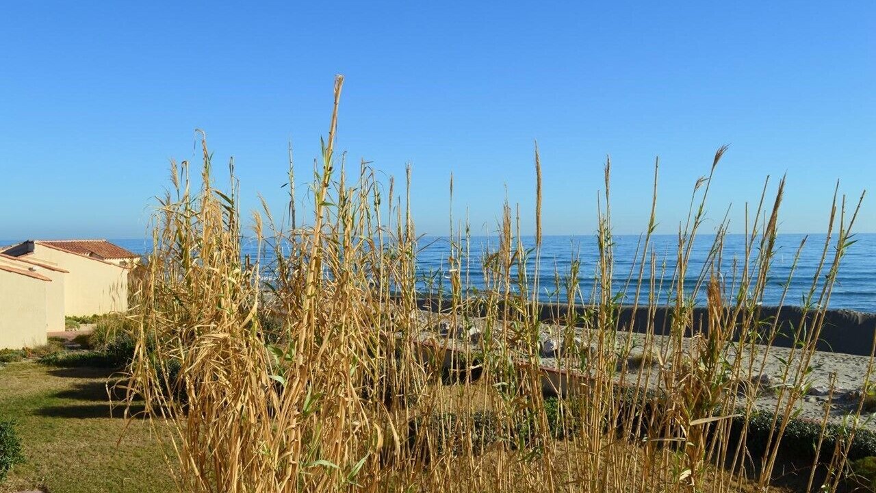 Photo of Outdoor in Leucate