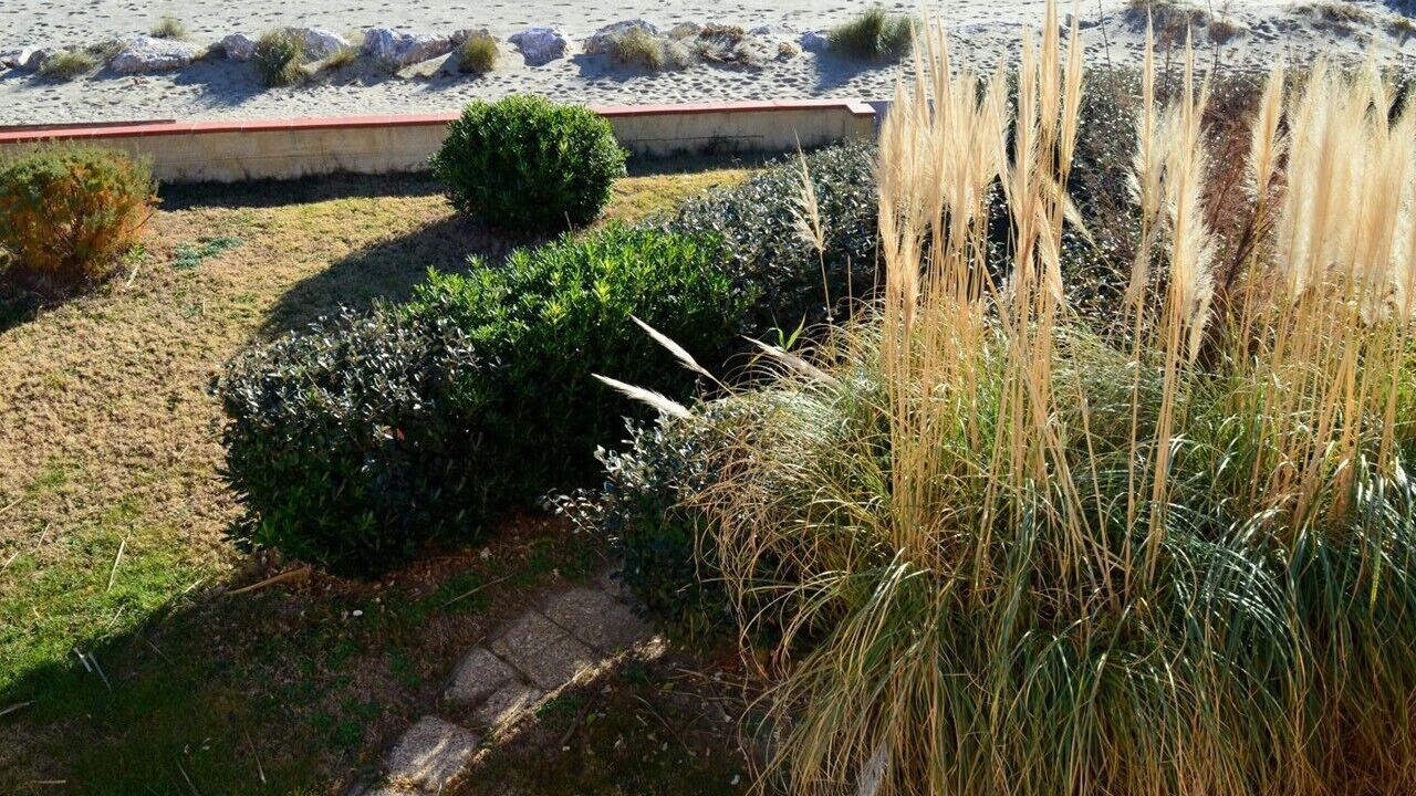 Photo of Outdoor in Leucate