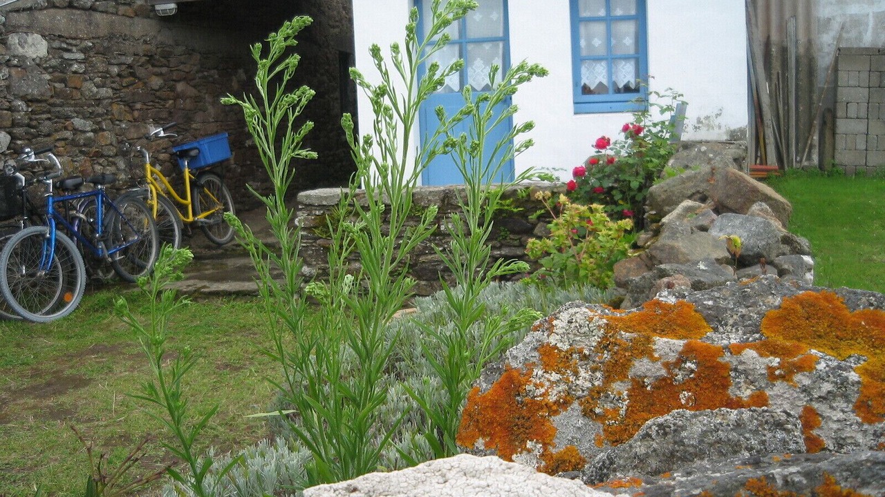 Photo of Outdoor in Ile d'Yeu