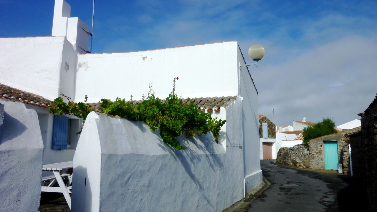 Photo of Outdoor in Ile d'Yeu