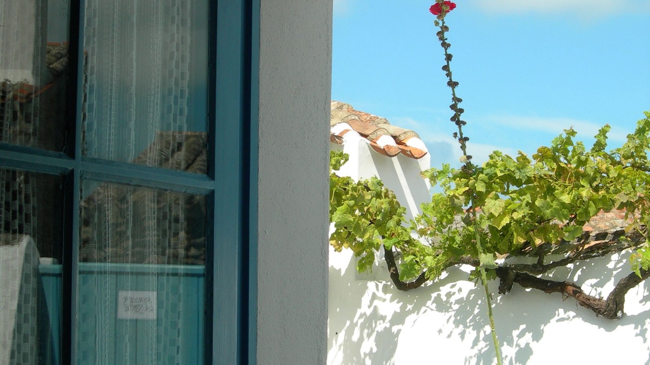 Photo of Patio Balcony in Ile d'Yeu
