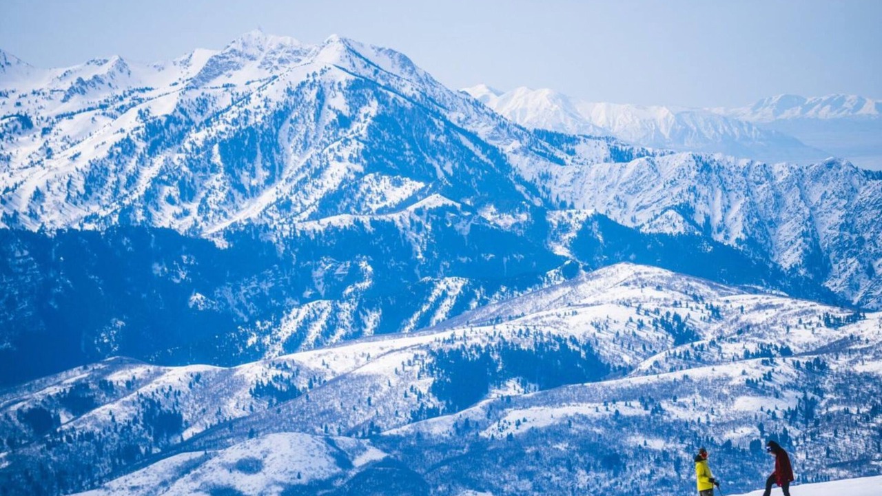 Photo of Others in Ogden