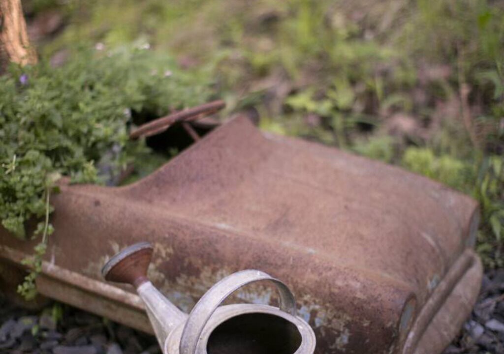 Photo of Others in Waterbury