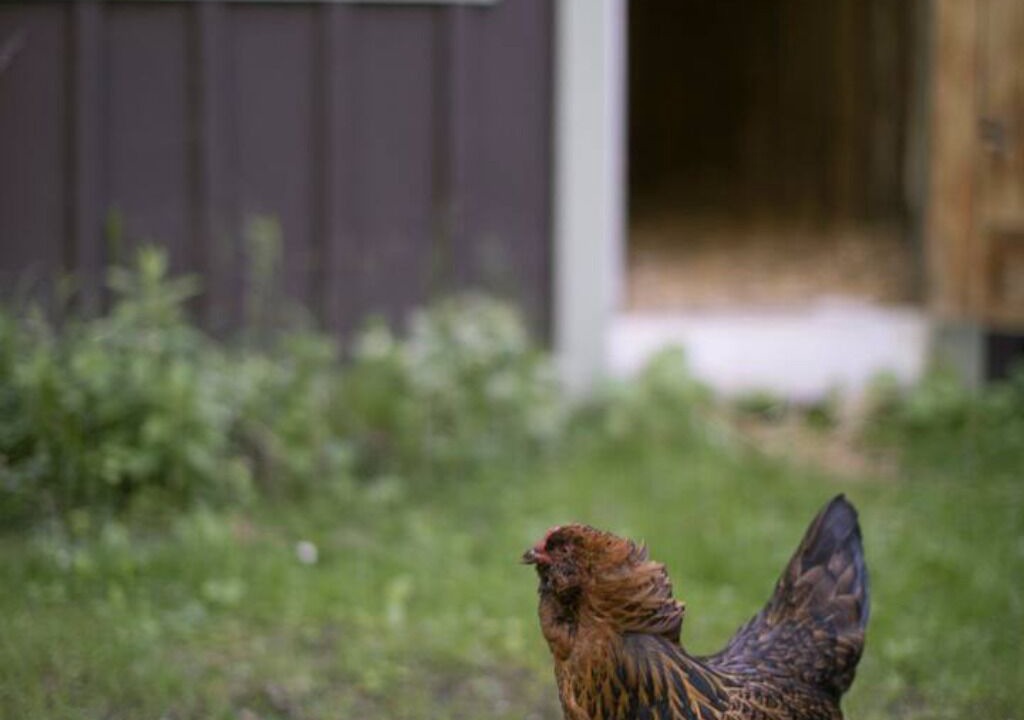 Photo of Others in Waterbury