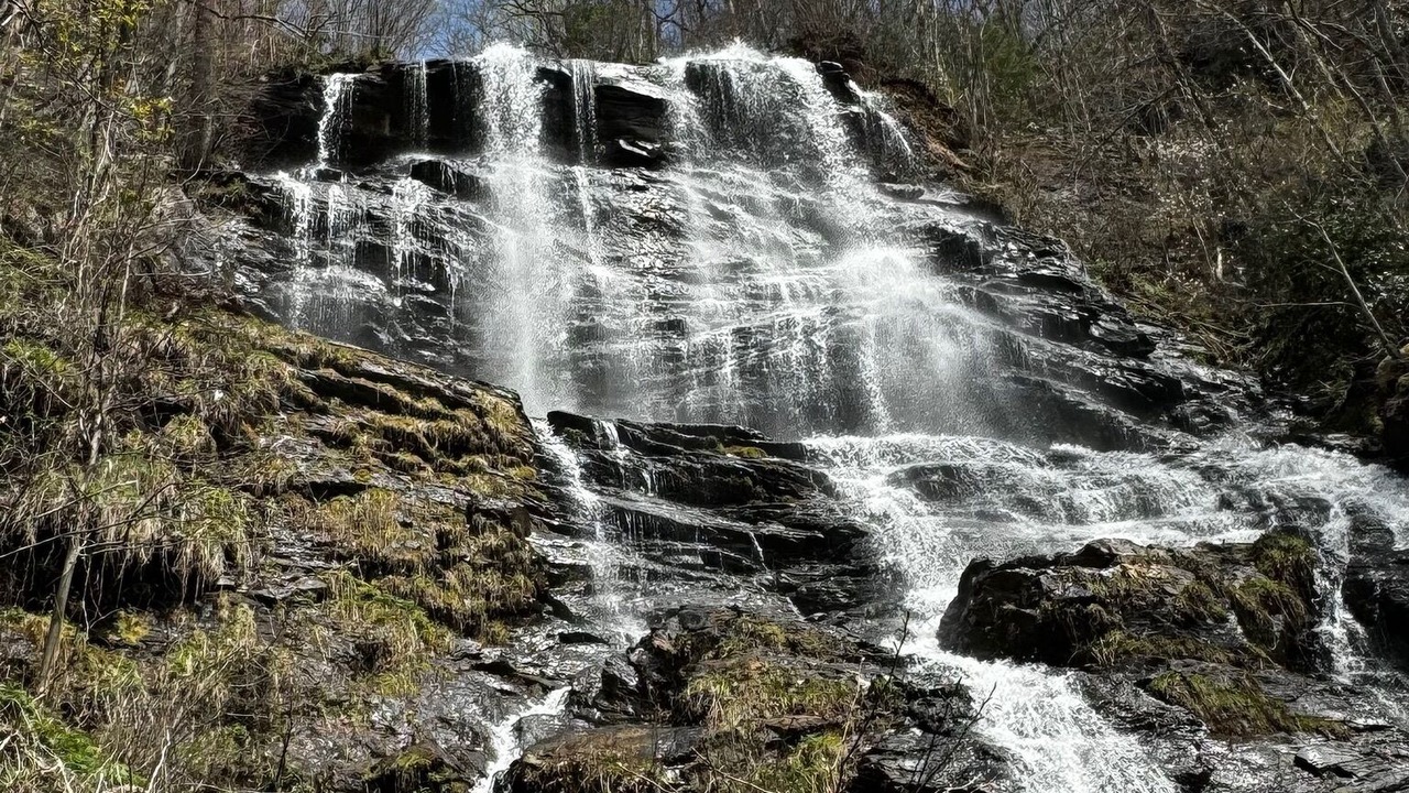 Photo of Others in McCaysville