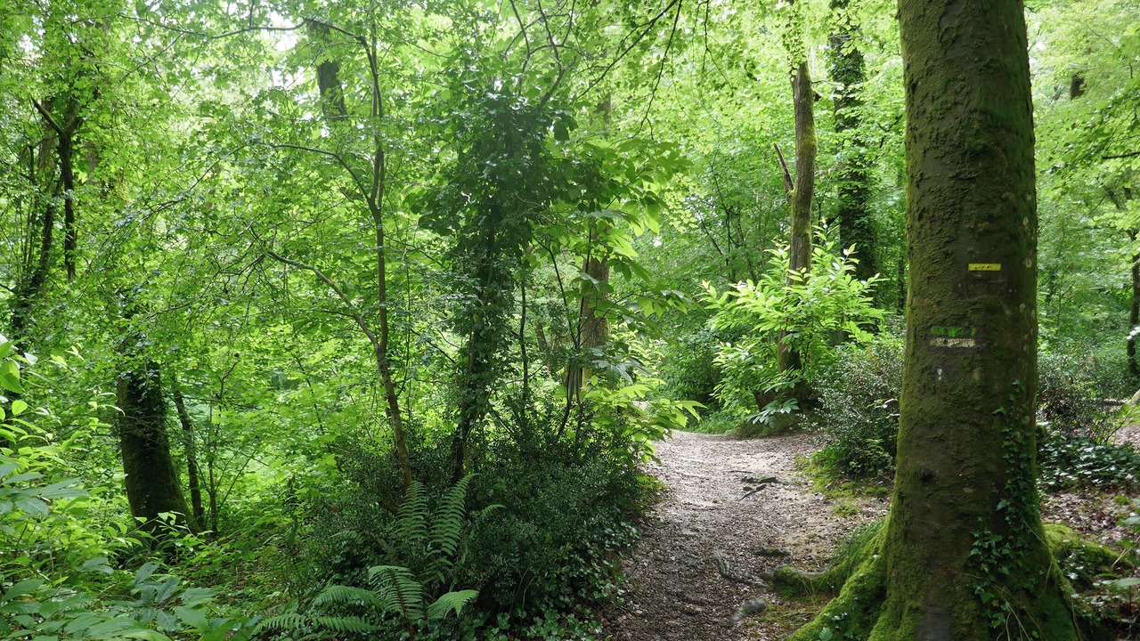 Photo of Others in La Montagne