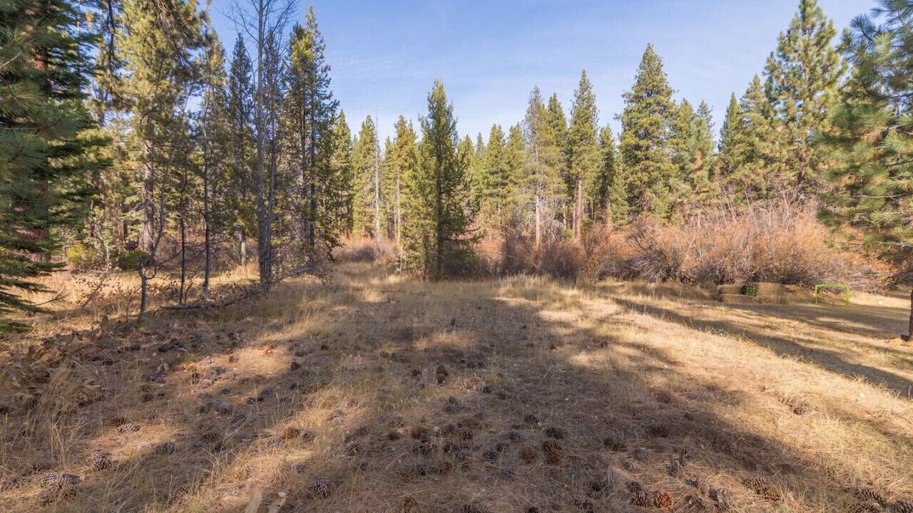 Photo of Others in Tahoe Vista