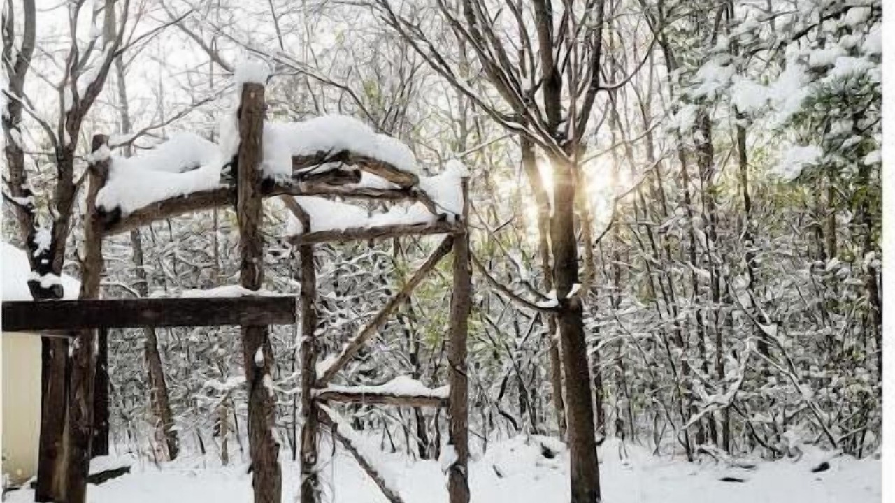 Photo of Others in Clearview Township