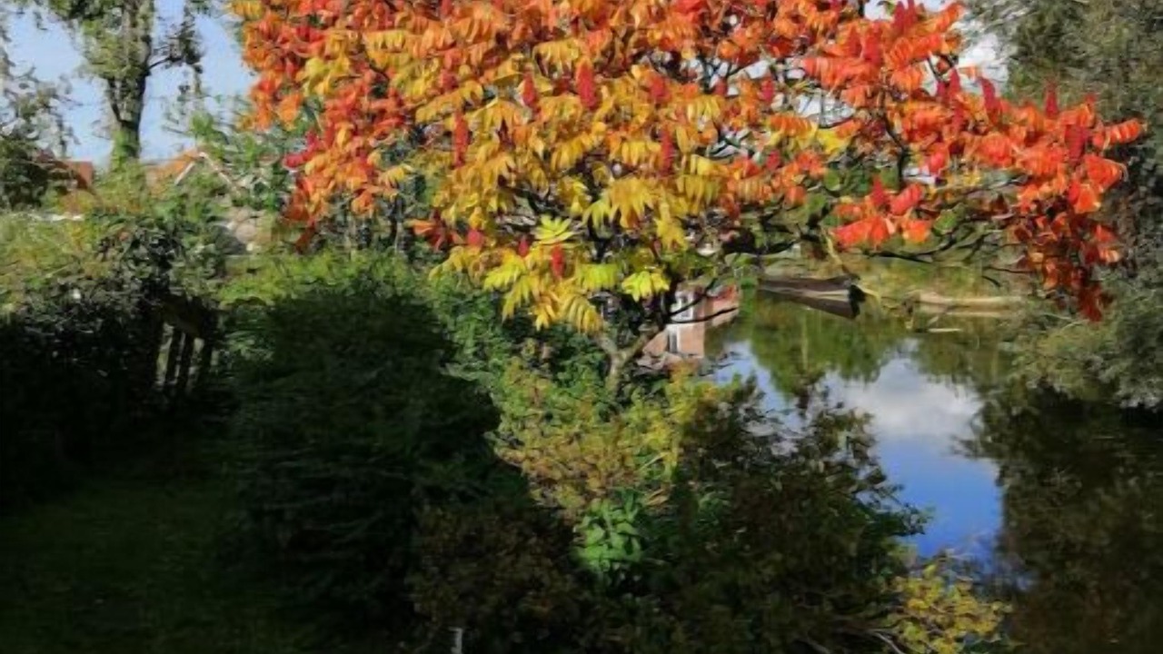 Photo of Others in Watten