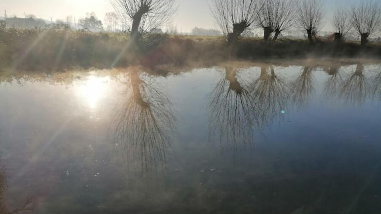 Photo of Others in Watten