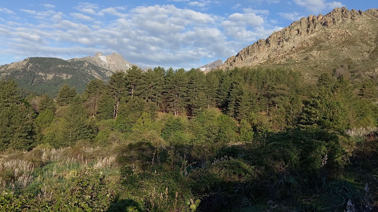 Photo of Others in Albertacce