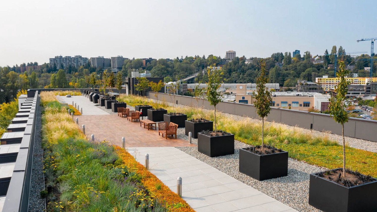 Photo of Outdoor in University District