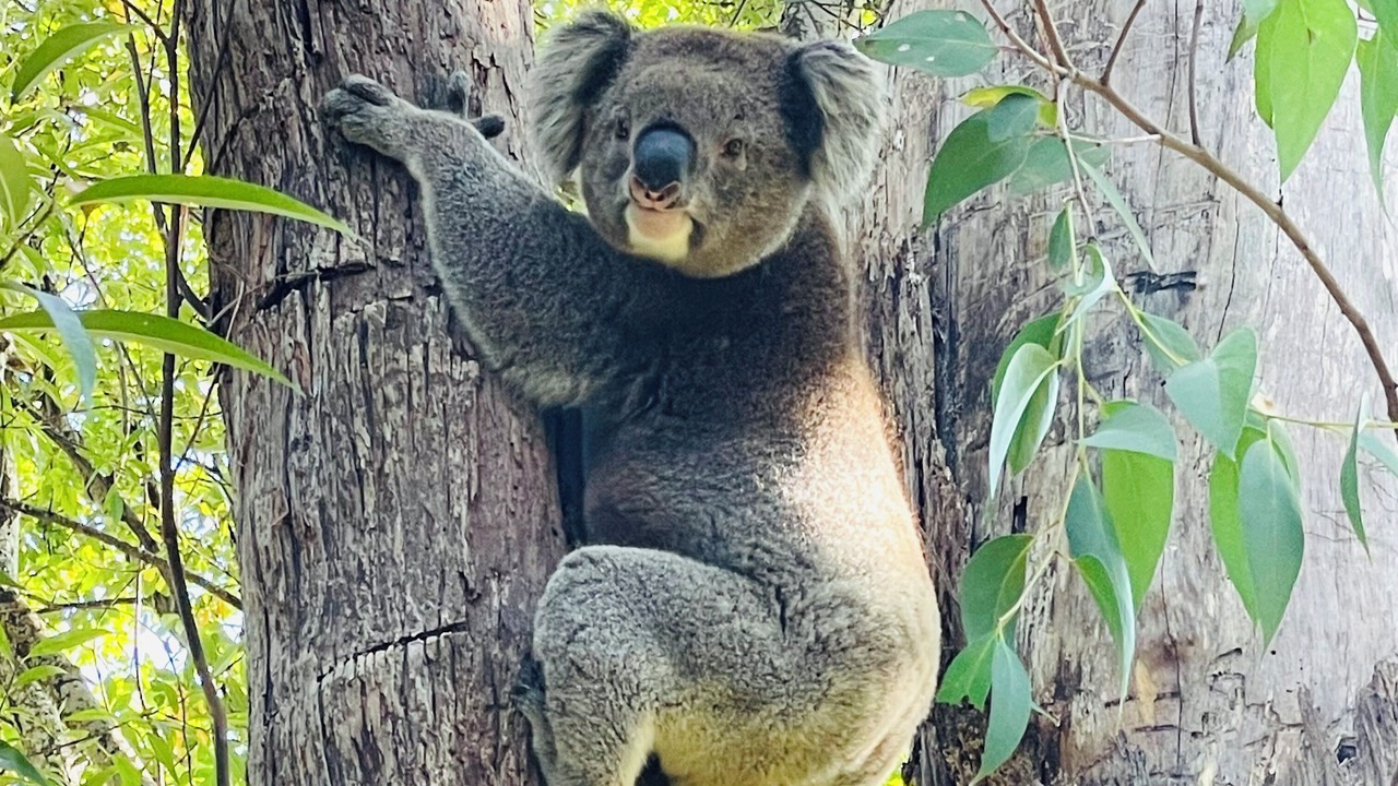 Photo of Others in Aldgate