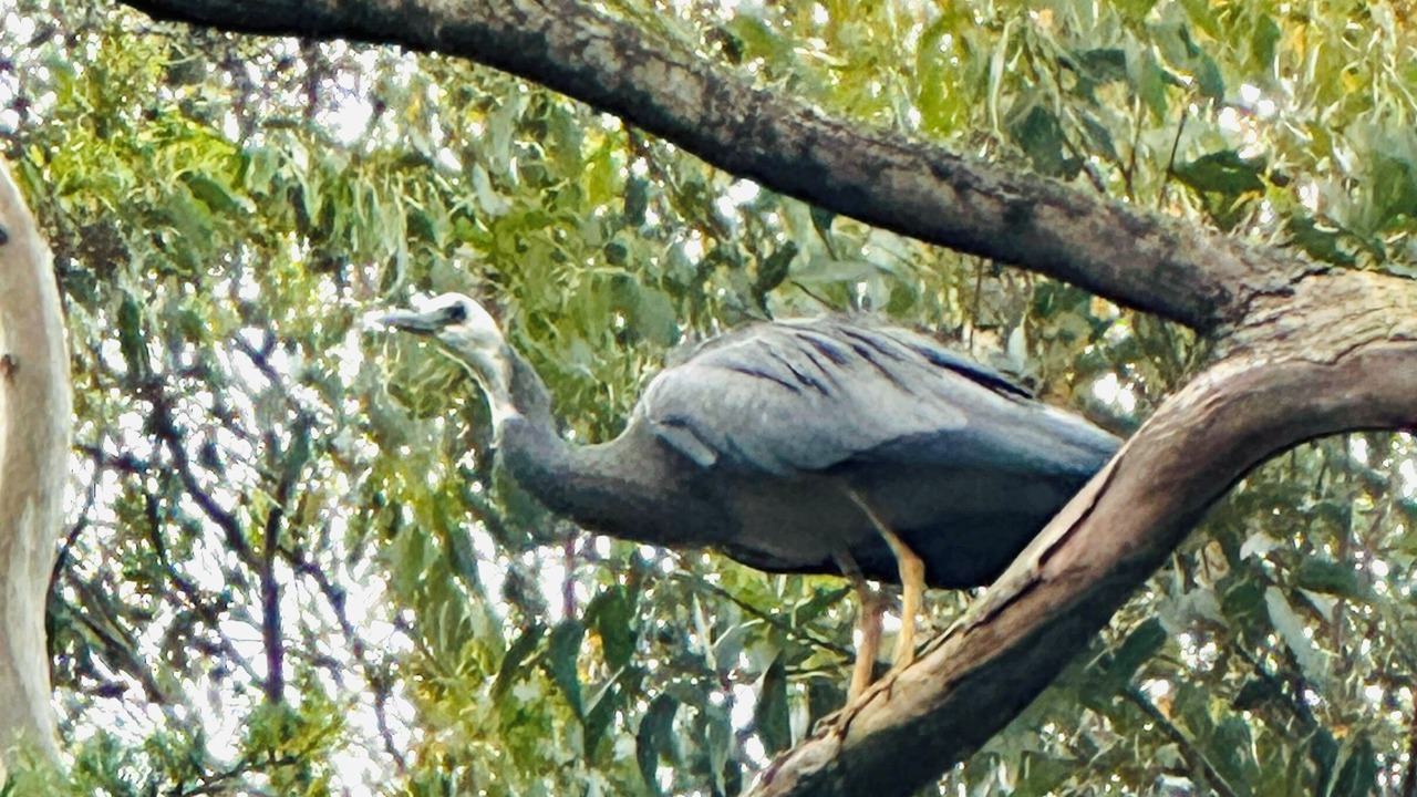 Photo of Others in Aldgate