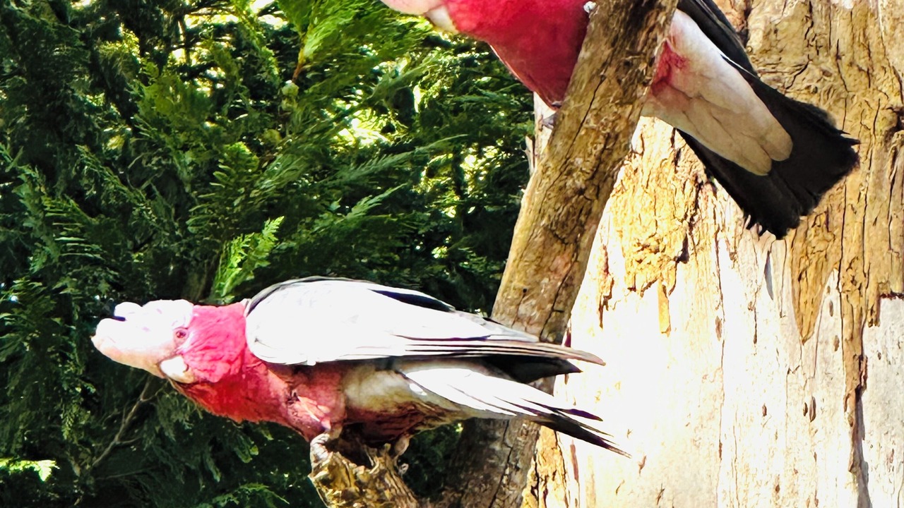 Photo of Others in Aldgate