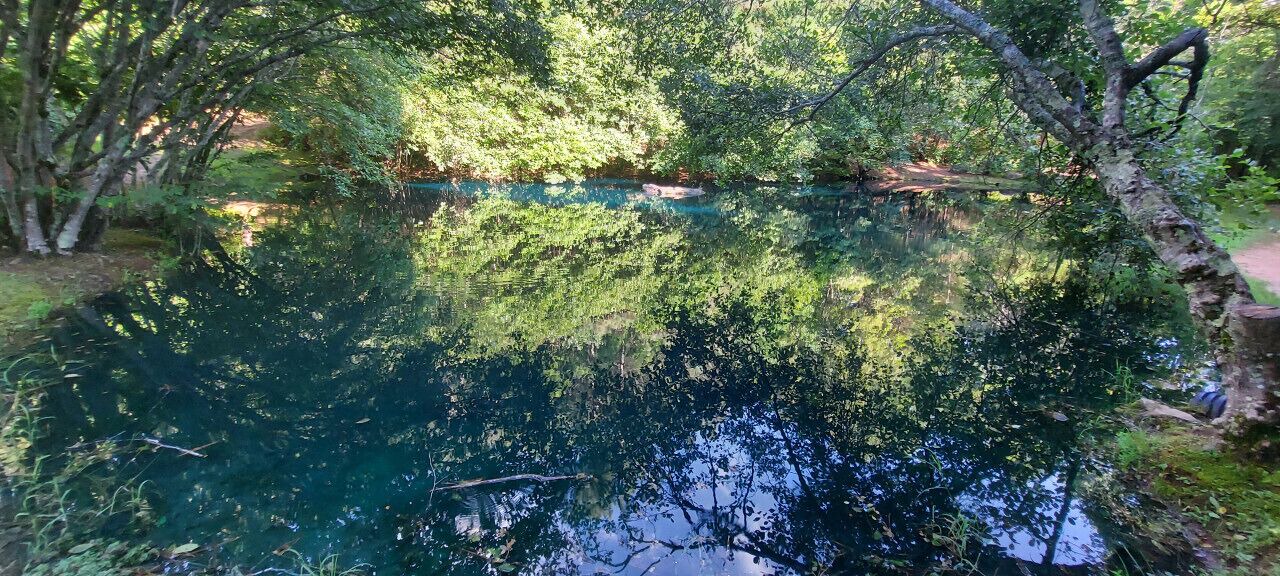 Photo of Others in Copperhill