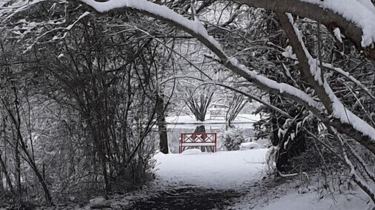 Photo of Others in Copperhill