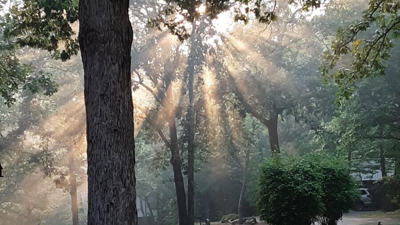 Photo of Others in Copperhill