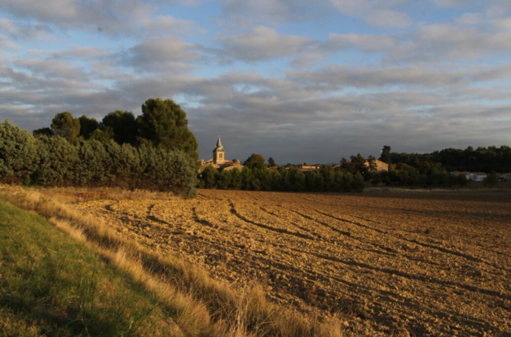 Photo of Others in Villegailhenc