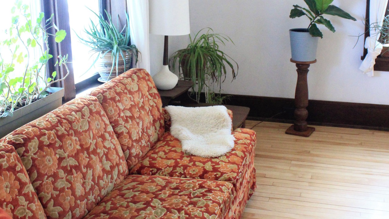 Photo of Livingroom in Viroqua